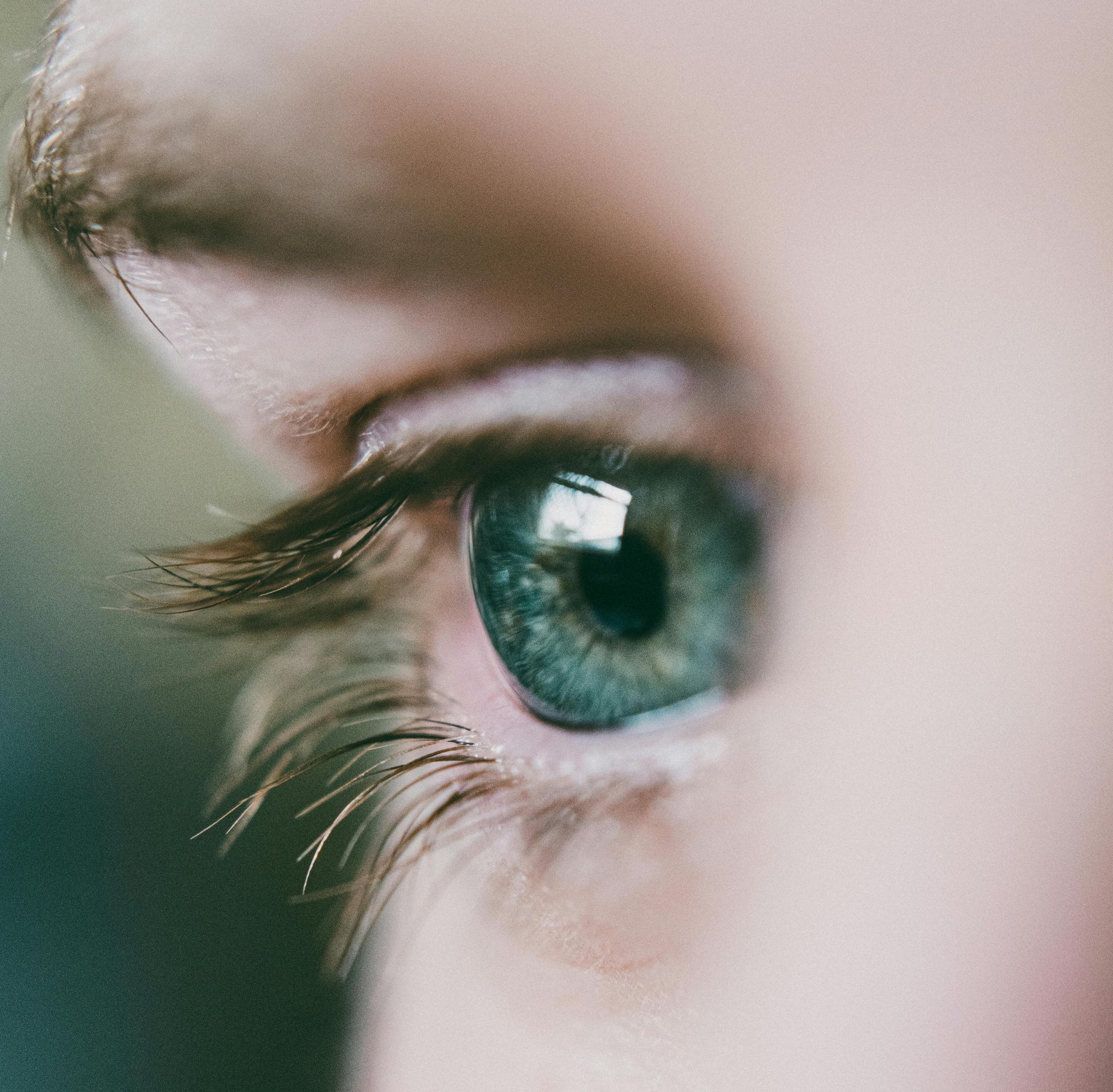 Watching time flow: Using visual anchors to quiet the noise